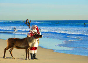 Santa and his reindeer on the beach